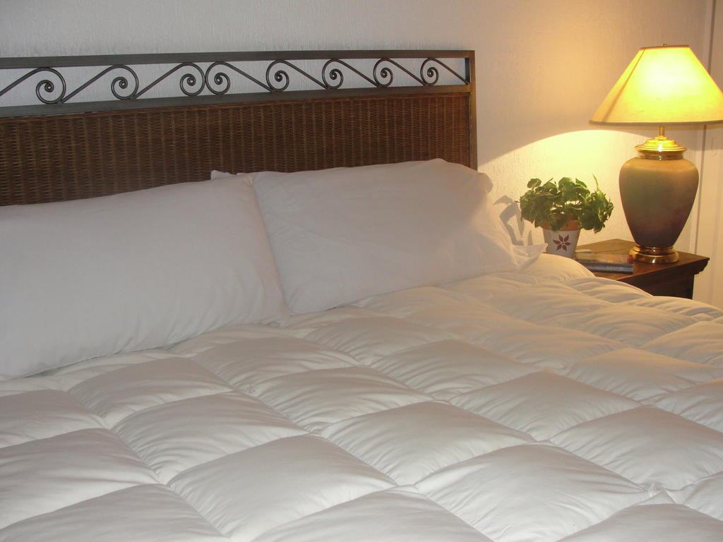 Steinhaus Suites Homero Ciudad de México Exteriér fotografie