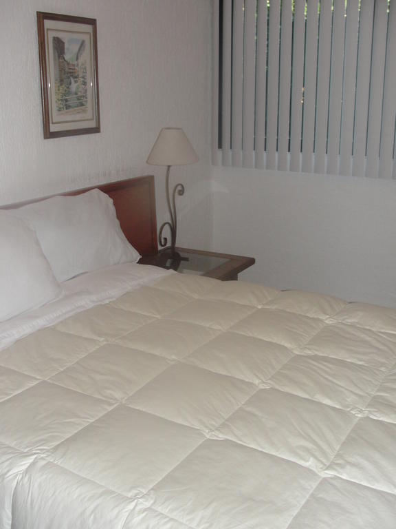 Steinhaus Suites Homero Ciudad de México Exteriér fotografie